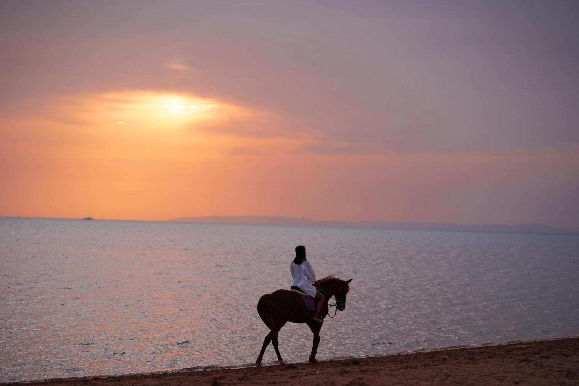 Club Paradisio El Gouna Red Sea Курортный комплекс