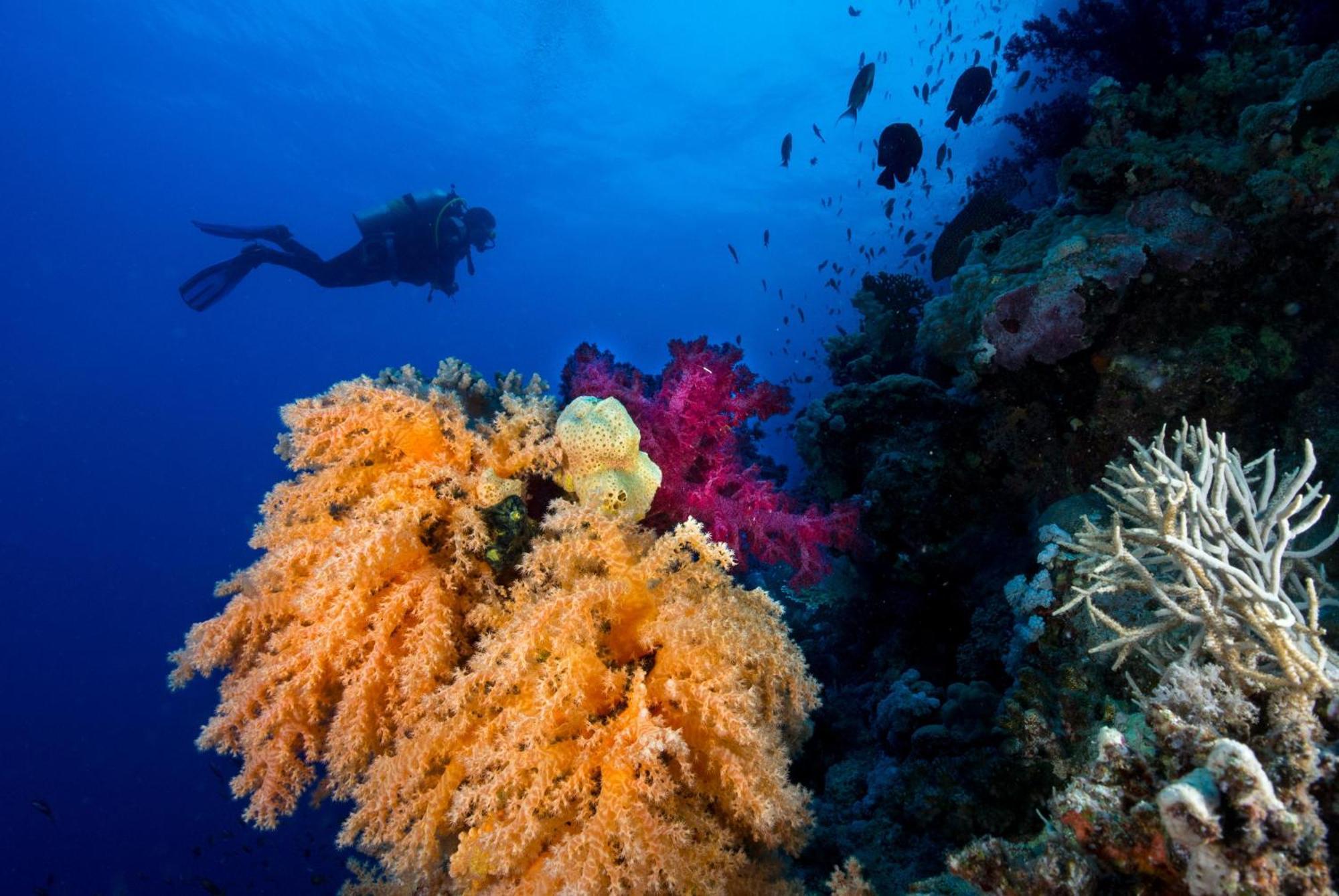 Курортный комплекс Club Paradisio El Gouna Red Sea
